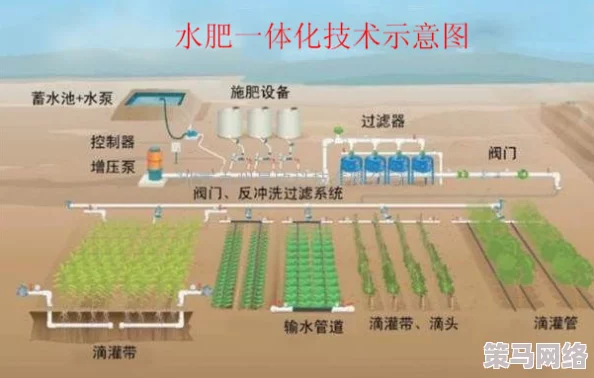 优质灌溉系统gl：推动农业可持续发展，提升水资源利用效率的最新进展与实践分享